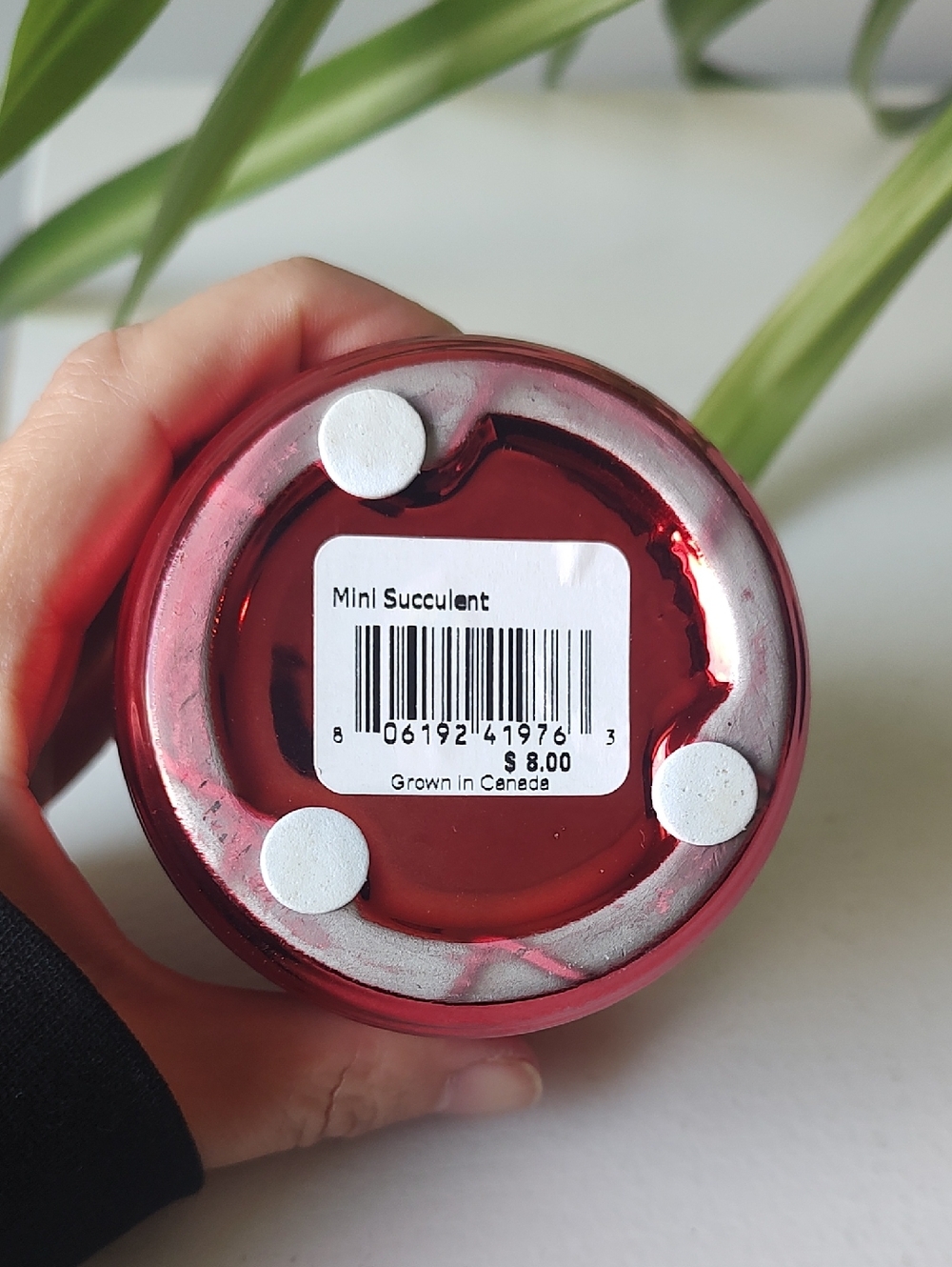 Red Ribbed Pot - Picture 3 of 3